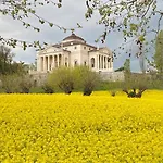 Ca' Masieri